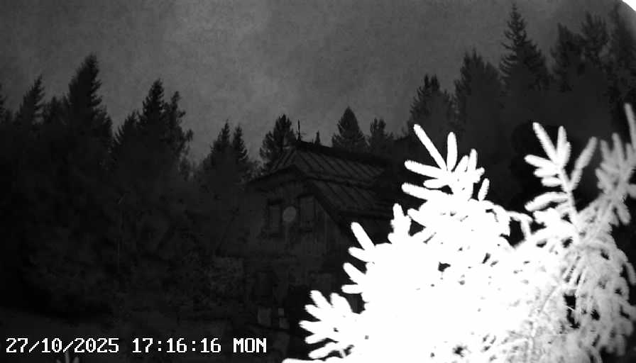 Livebild von der Gföhlberghütte Livebild von der Gföhlberghütte